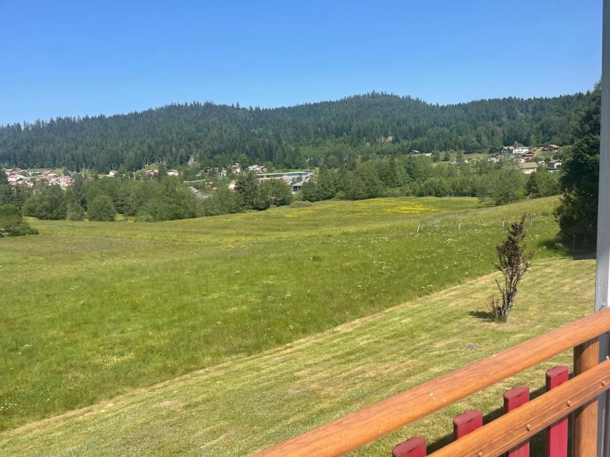 Chalet Le Cedre Bleu 10 P - 10 Min De Gerardmer ル・トリー エクステリア 写真